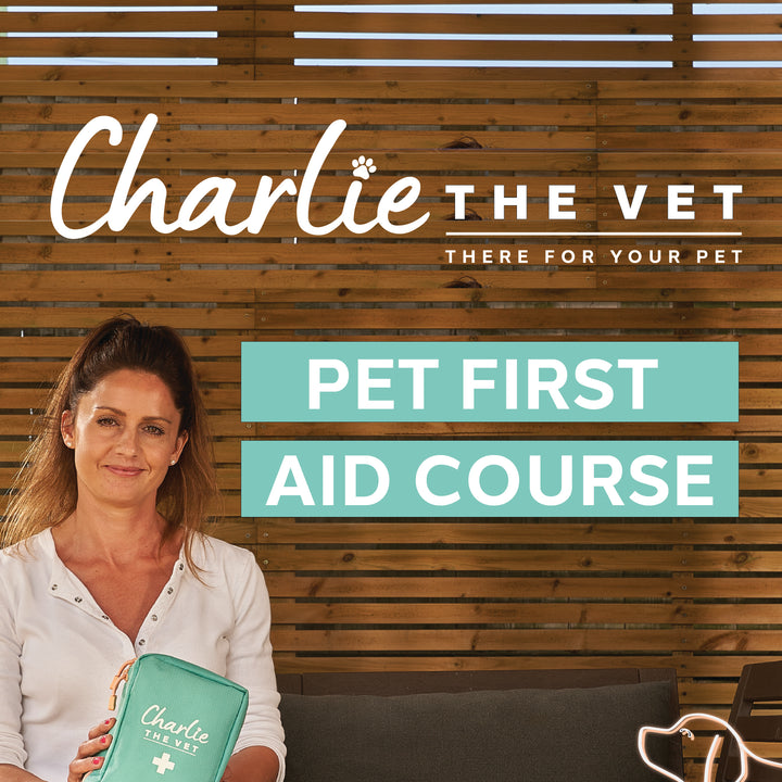 Charlie The Vet's Pet First Aid Course