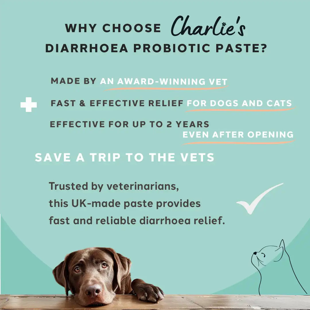 Diarrhoea Care Probiotic Paste