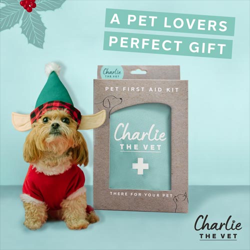 https://www.charliethevet.com/cdn/shop/t/3/assets/box-puppy-xmas2-500.jpg?v=27673336656182397831700054913